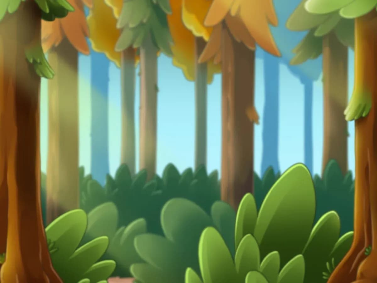 Owl In Forest